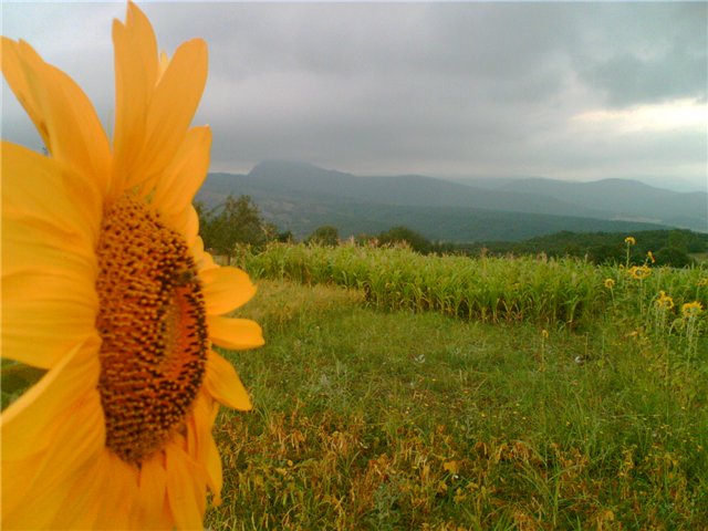 Breathtaking but unknown: Georgia’s beautiful places that tourists have no idea about geotv.ge